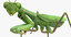 3D grasshopper mantis rigged