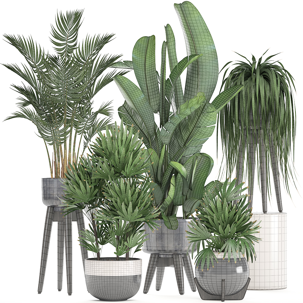 3D model exotic plants - TurboSquid 1327504