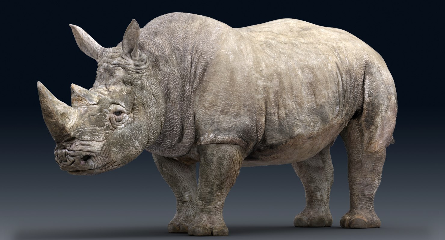 downloading Rhinoceros 3D 7.32.23215.19001