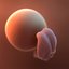 3D fetus 10 development