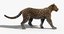 3D model big cats fur