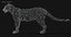 3D model big cats fur