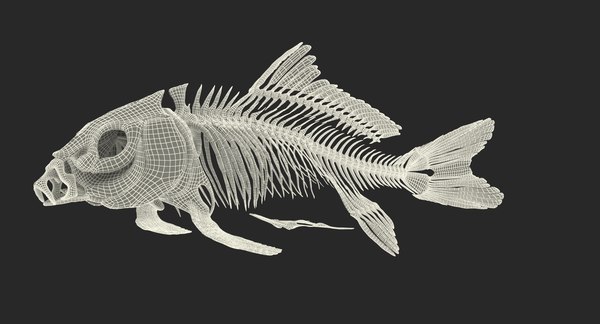 3d carp android