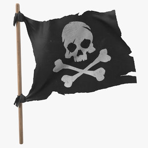 3D pirate skull bones flag