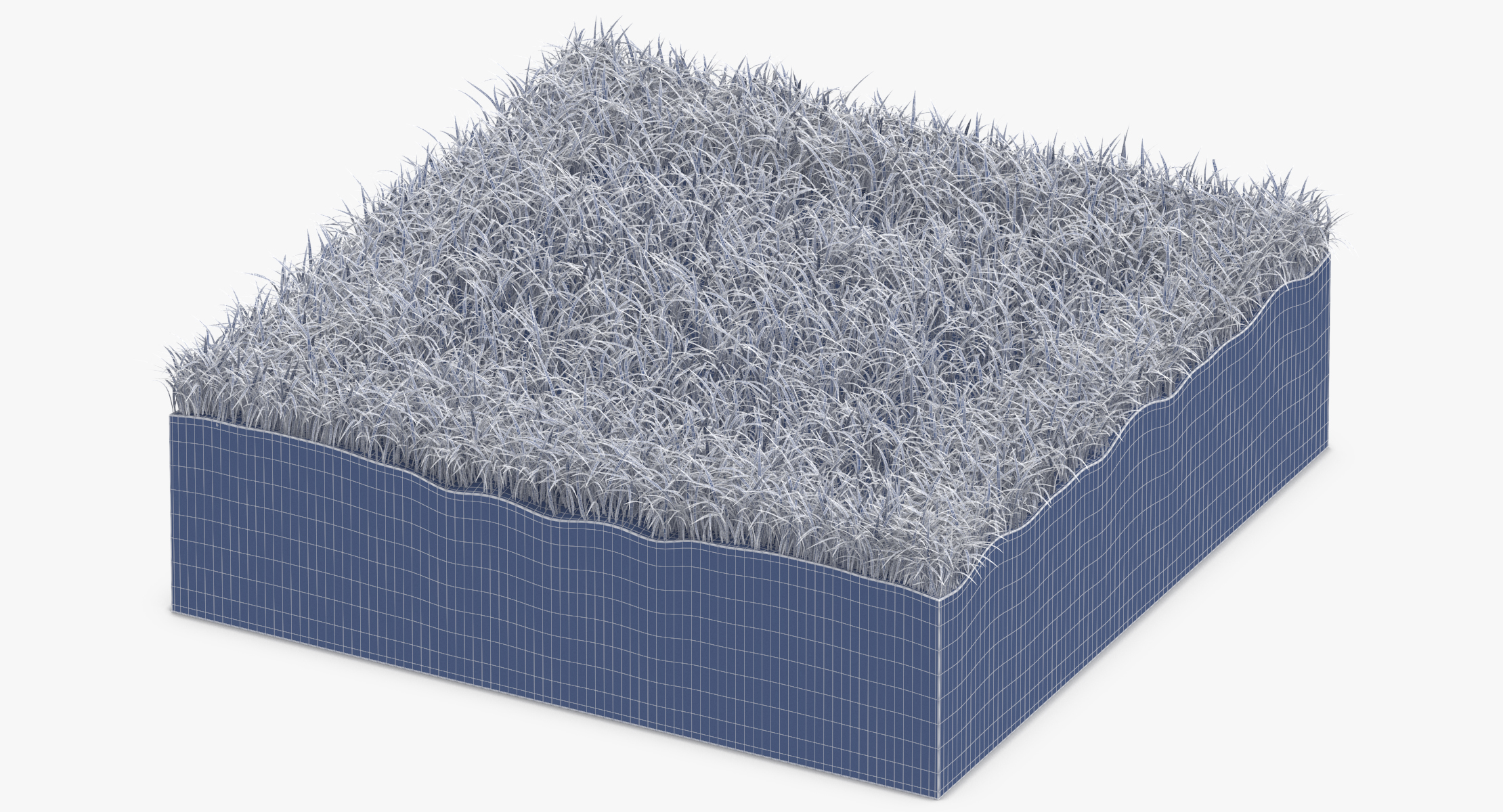 Grass cross section 02 model - TurboSquid 1328729