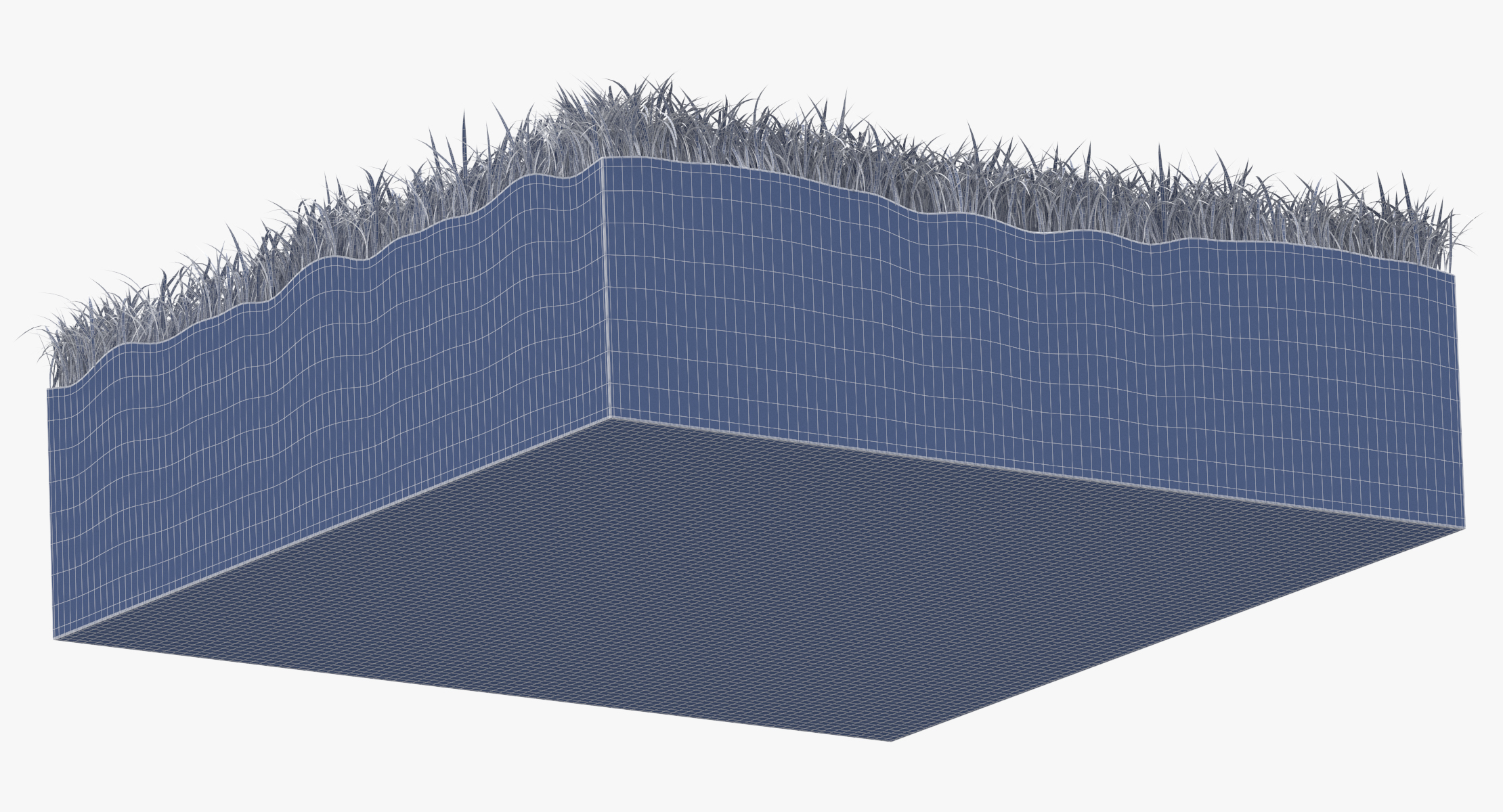 Grass cross section 02 model - TurboSquid 1328729