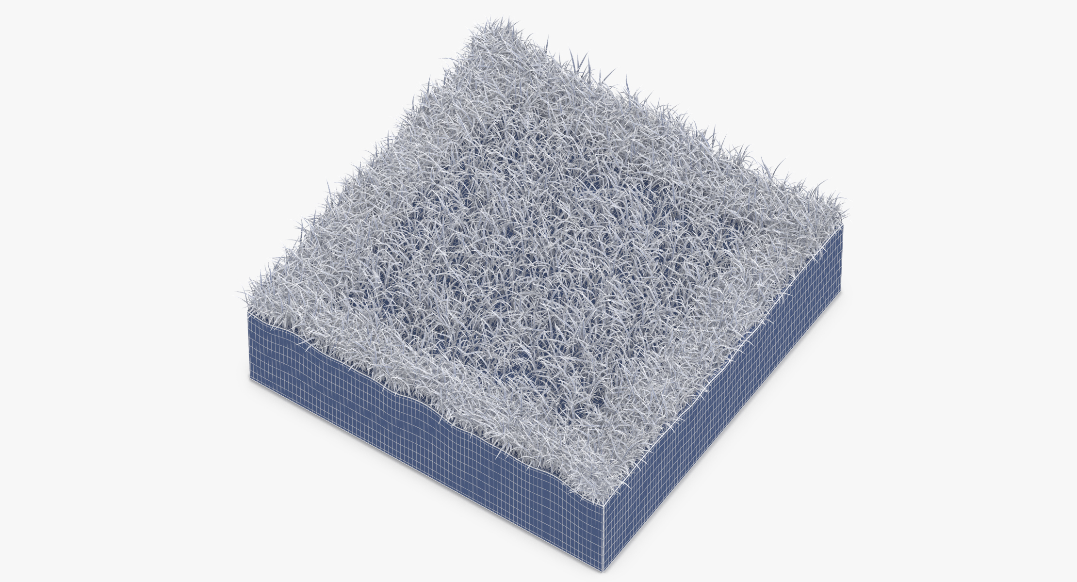 Grass Cross Section 02 Model - Turbosquid 1328729