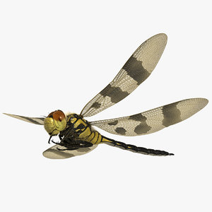 dragonfly halloween pennant 3D model