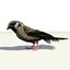 3D group sparrows landing flying model