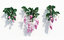 orchids plant flower growfx 3D model