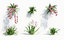 orchids plant flower growfx 3D model