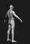 3D human male zbrush body model