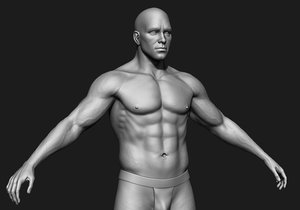 3D human male zbrush body model