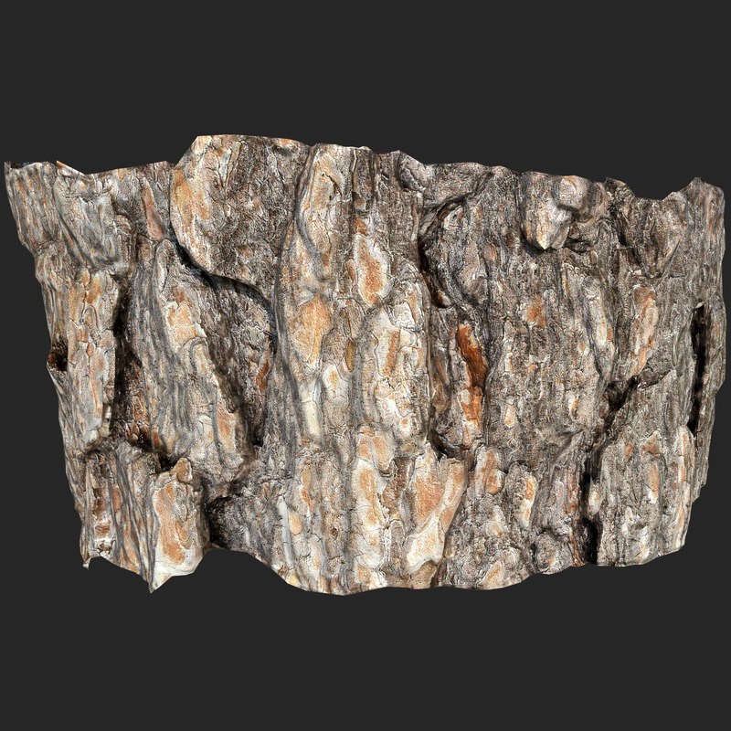 3d scanned piece pine bark model turbosquid 1329086