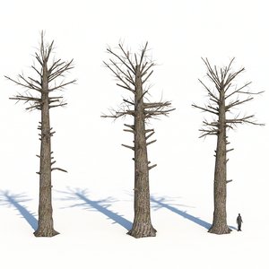 dead trees 3D model