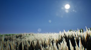 stylized wheat 3D model