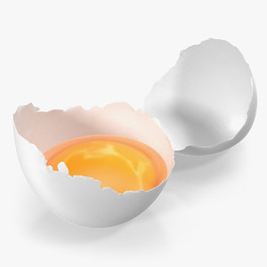 broken white egg 3D model