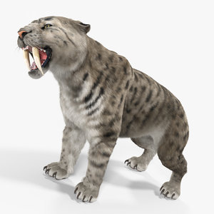 arctic saber tooth cat 3D