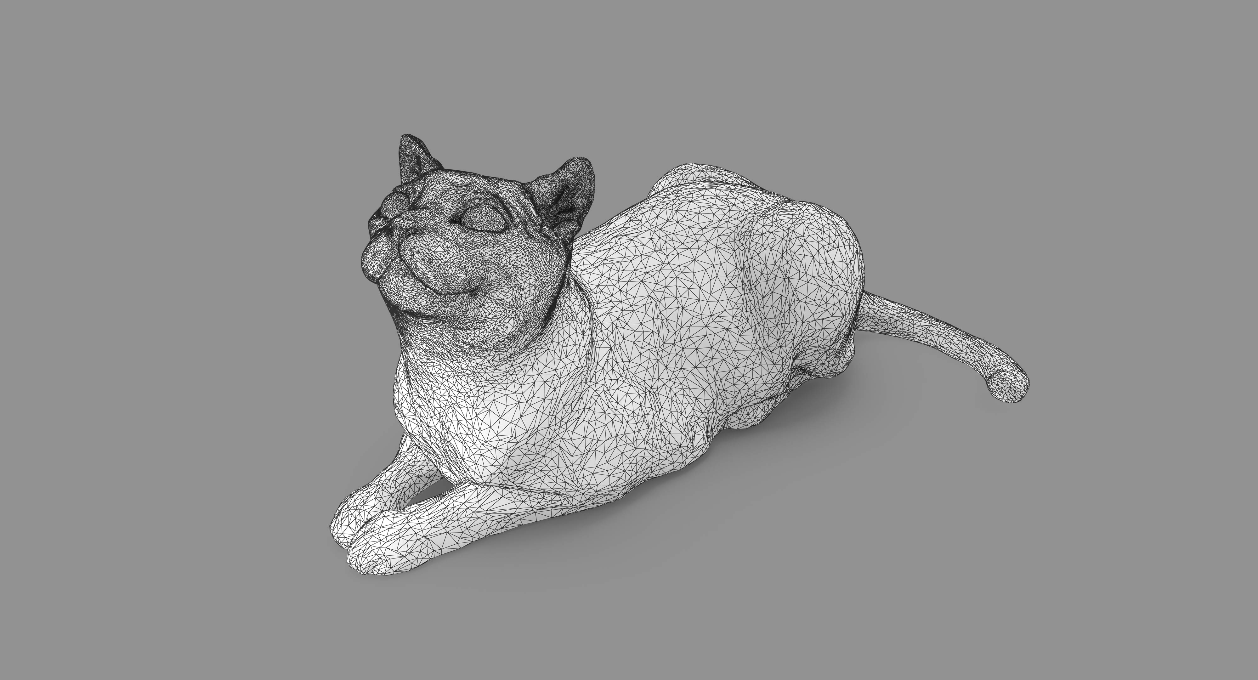 猫阿比西尼亚人说谎3d模型