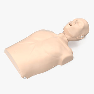 half body aid training 3D model