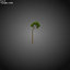 3D forest trees flowers grasses