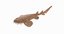 wobbegong shark 3D model