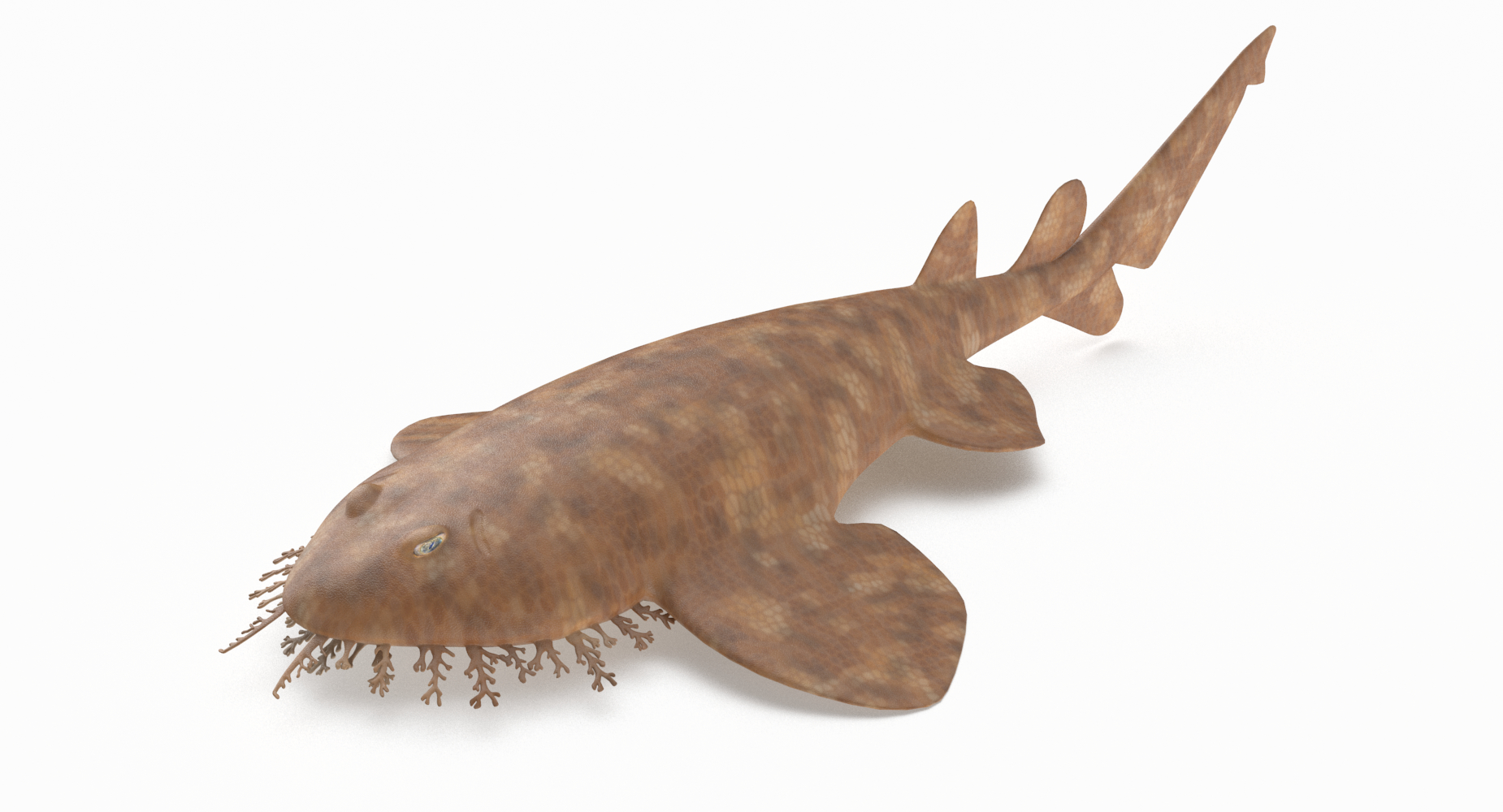 wobbegong shark plush