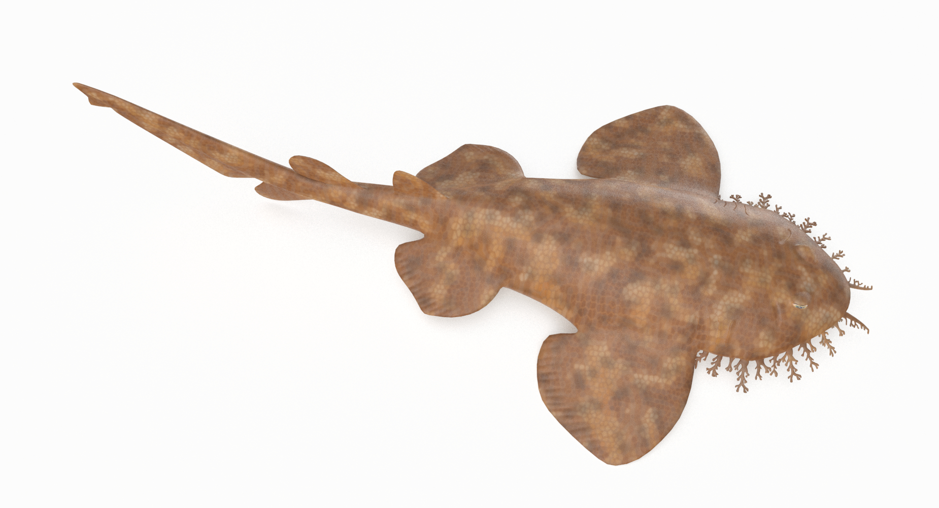 wobbegong shark plush