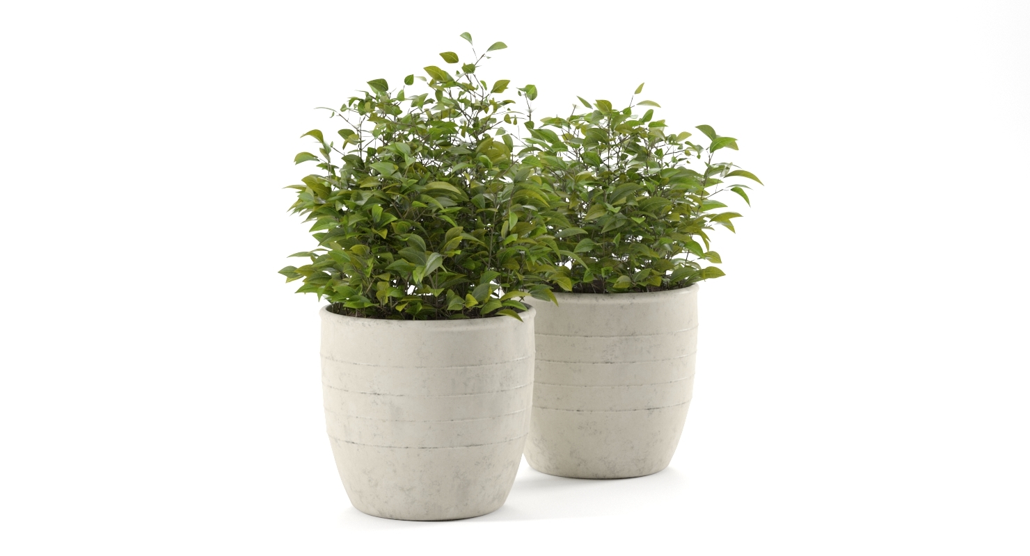 3d Realistic Outdoor Plant Pot Turbosquid 1330729