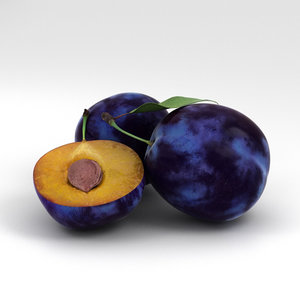 3D plum food fruit model