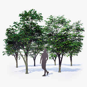 3D wind generic small trees