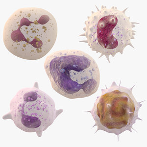 3D white blood cell pack