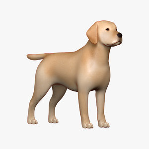 3D model labrador dog