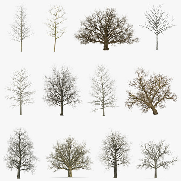 3d Winter Trees 2 Turbosquid