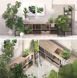 3D model tropical indoor plant