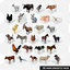 3D 25 farm domestic animal