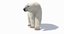 polar bear animation model
