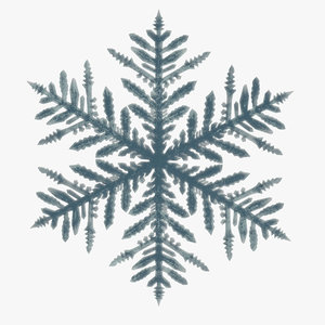 snowflake snow flake 3D model
