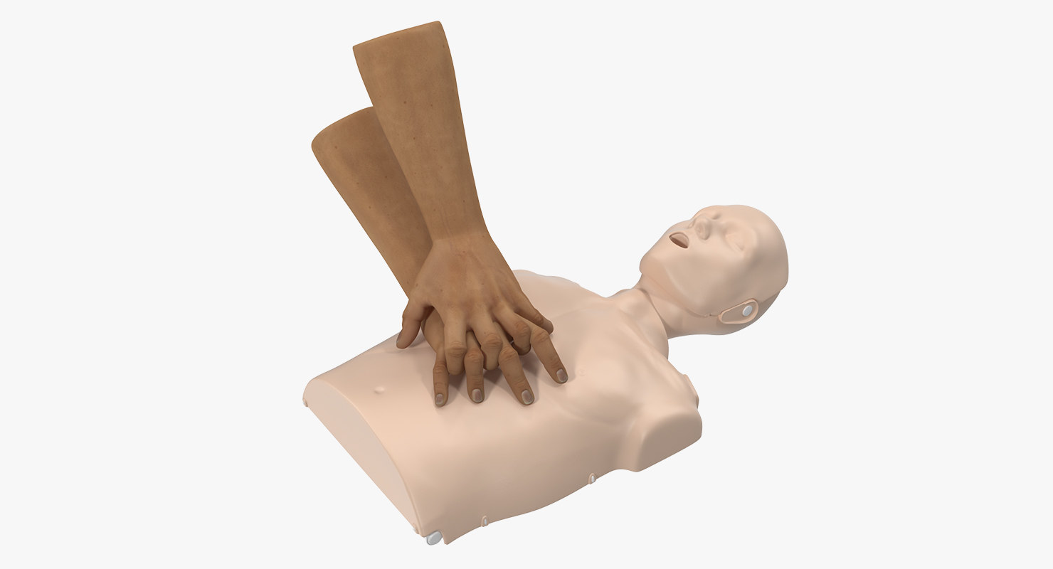 Chest compressions cpr dummy 3D model TurboSquid 1332736