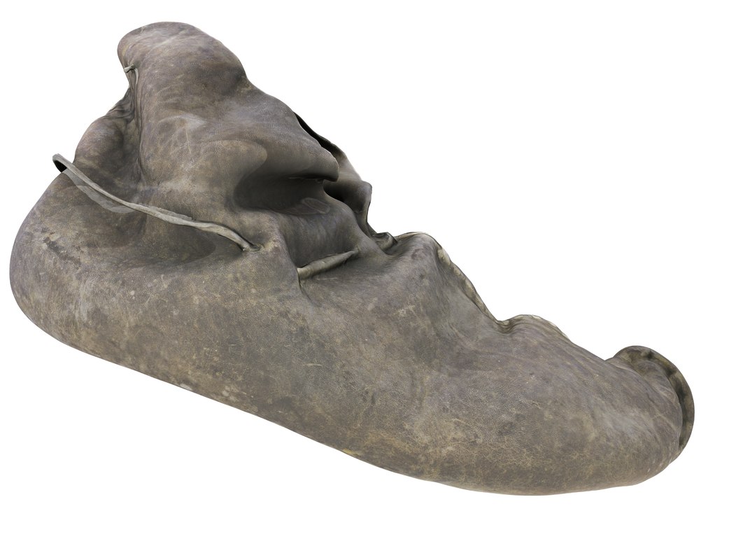 puma shoes 46 men