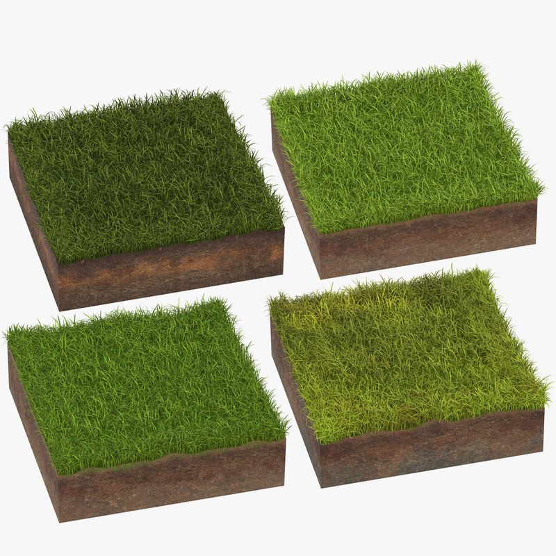 3D model grass cross sections - TurboSquid 1333214