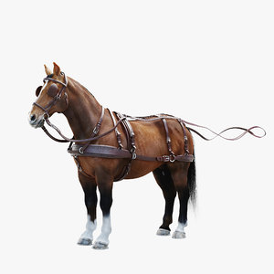 3D realistic horse harness