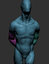 male anatomy model