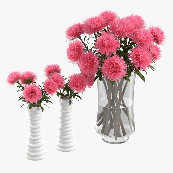 realistic pink asters 3D model