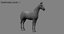 3D horse rigging animation walk - TurboSquid 1334039