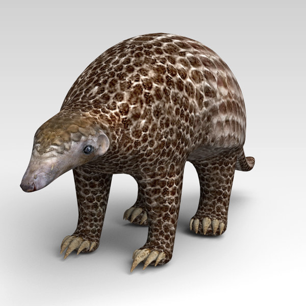 Pangolin 3d Model Turbosquid 1334350