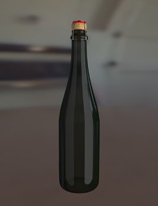 champagne bottle model