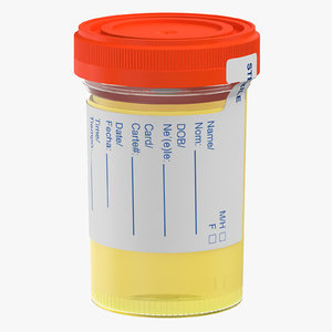 urine sample 3D model