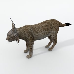 animals feline 3D model