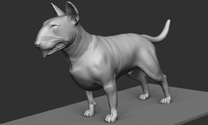 stand bull terrier 3D